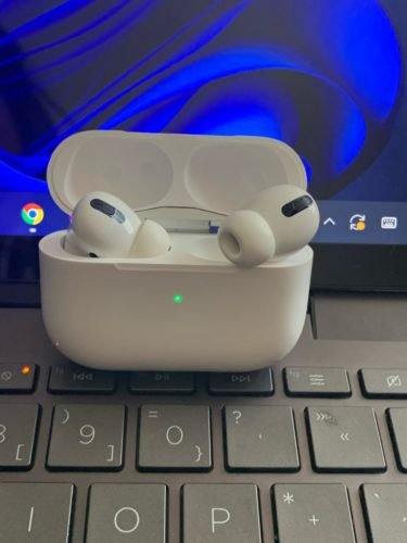 black pods blanco laptop