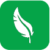 lightweight green icon